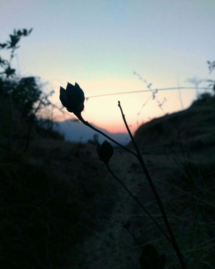 sunset time