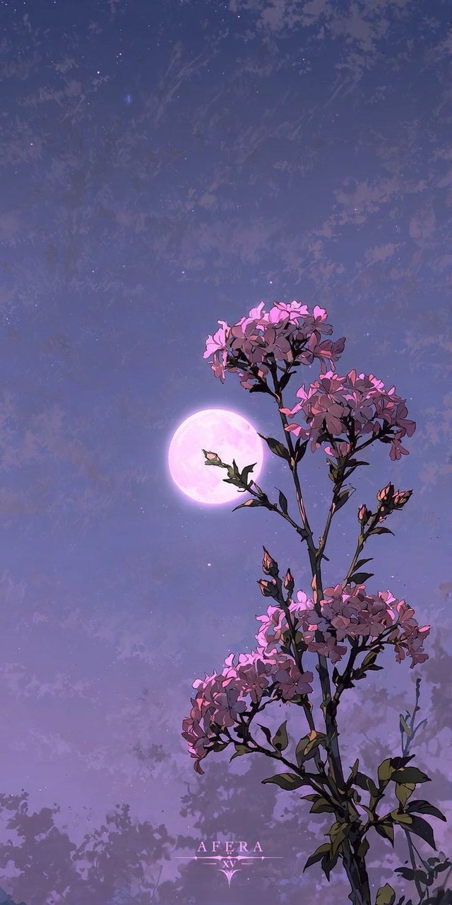 тапети moonlight, petal