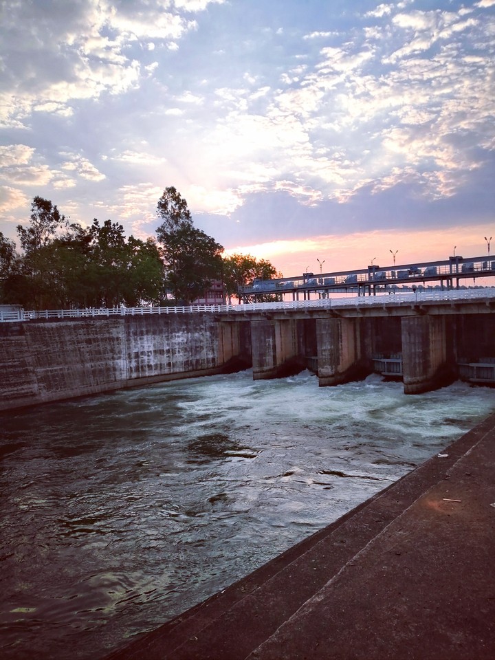 The Dawn.
