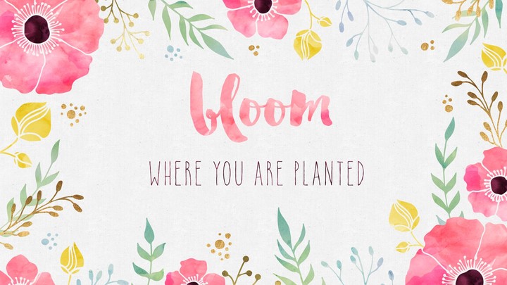 Bloom