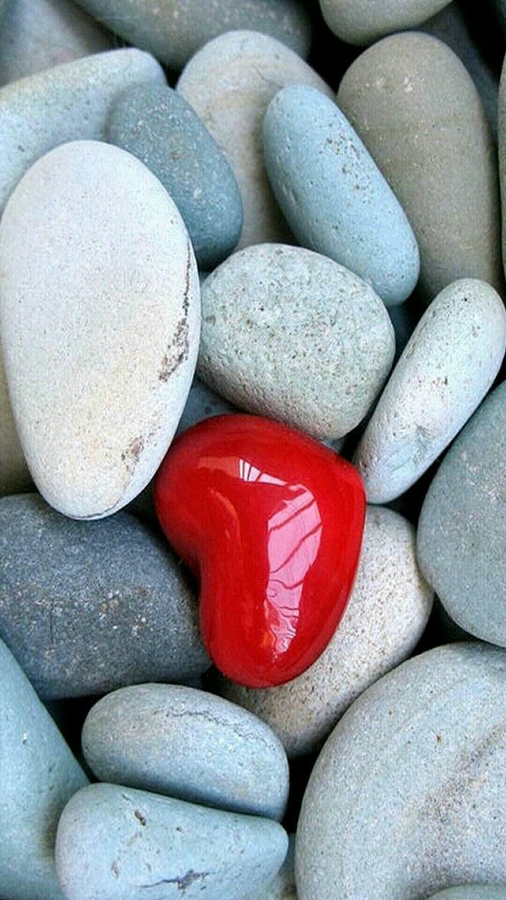 ❤️ ❤️