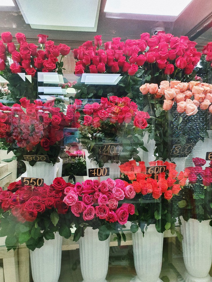 Rose