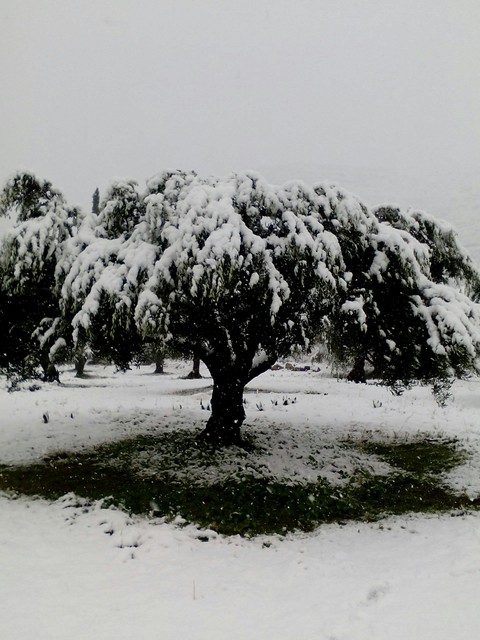 The best winter