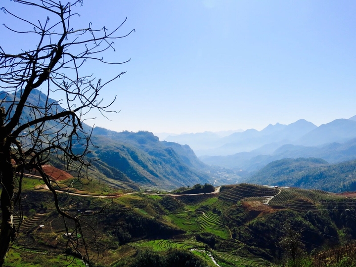 sapa