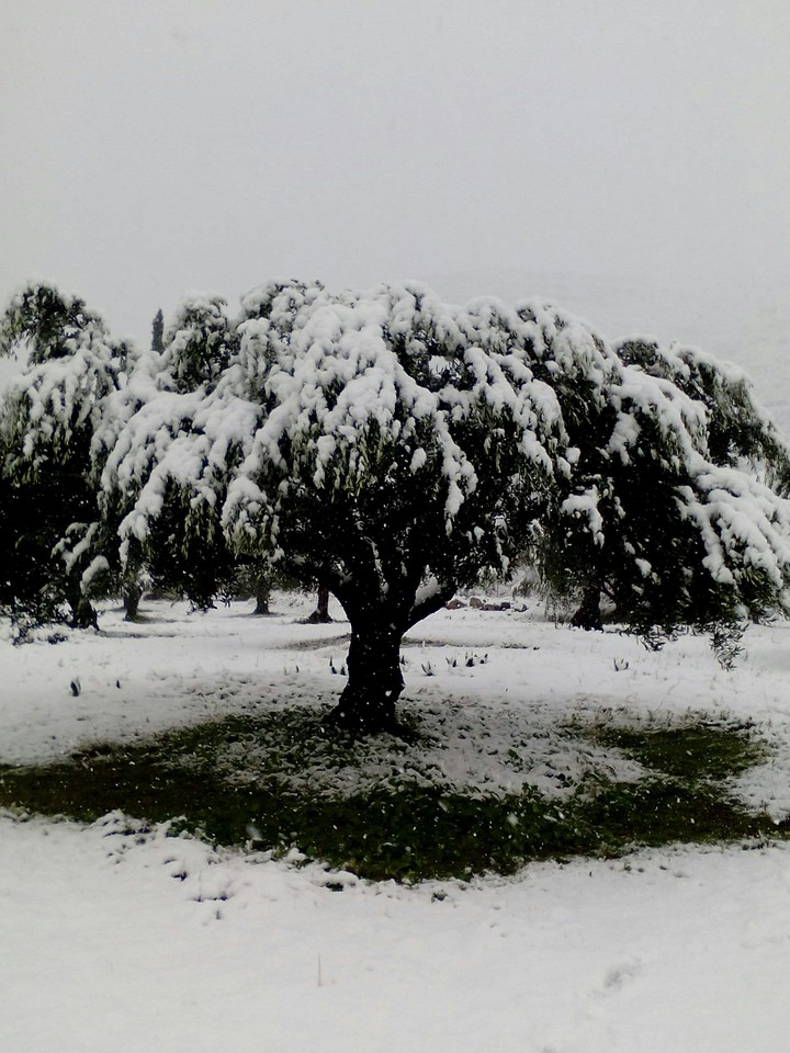 The best winter