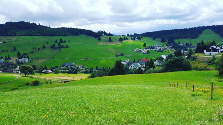 Todtnauberg at summer