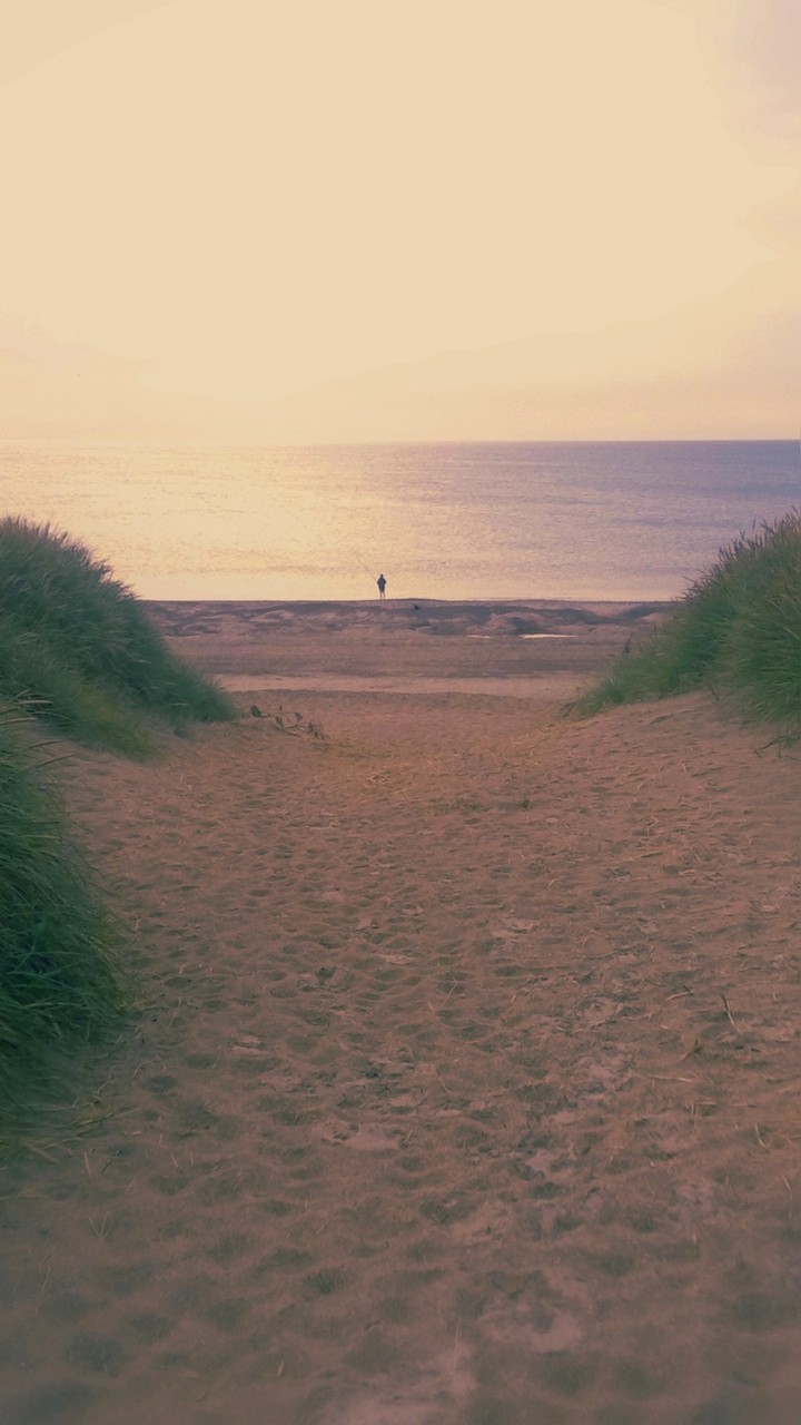 The fisherman
