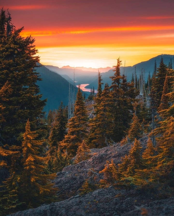 beautiful landscape...