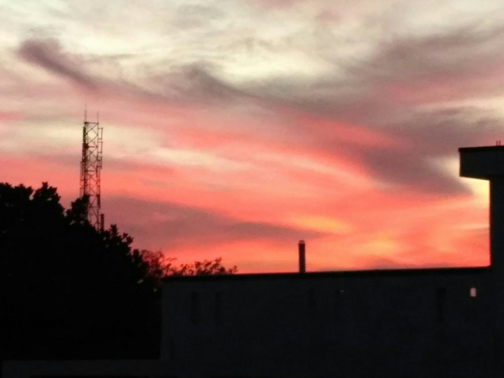 colors of nature