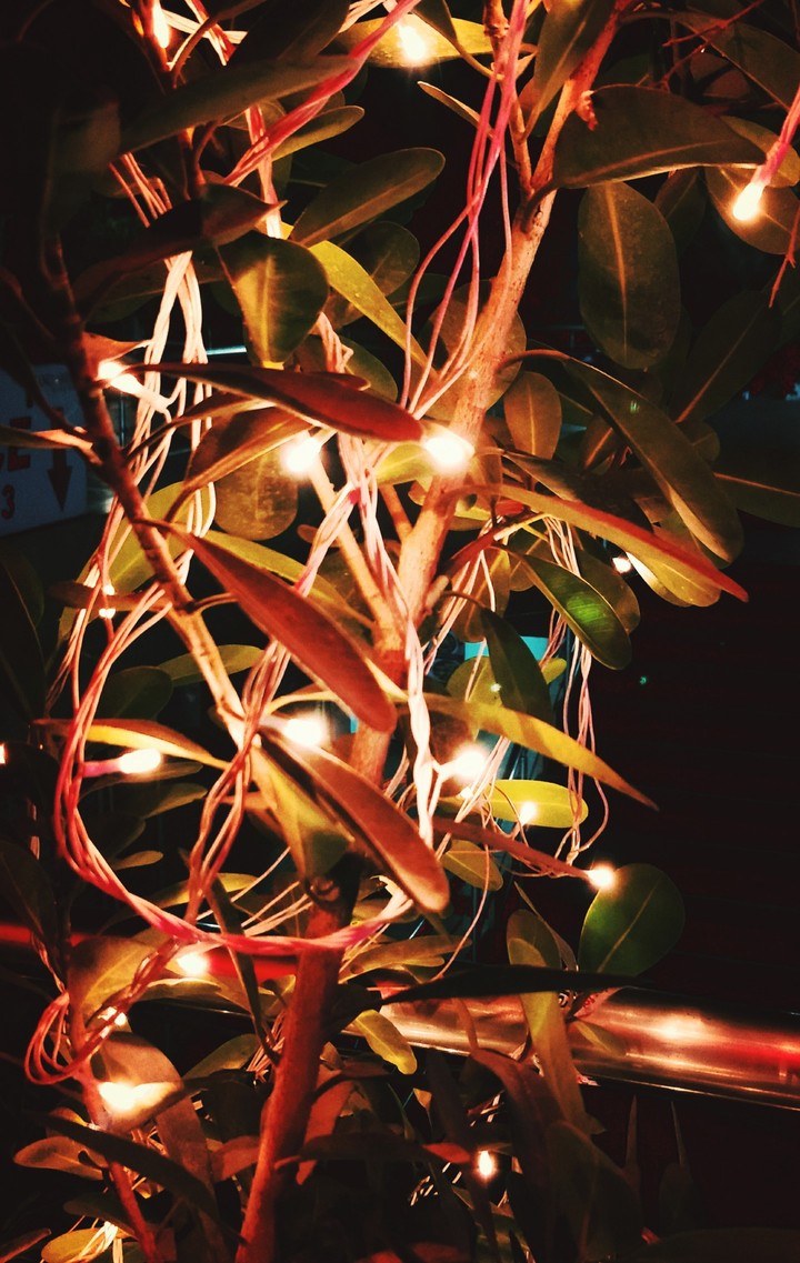 lights#festival#night#luvforphotography#mobilephotography