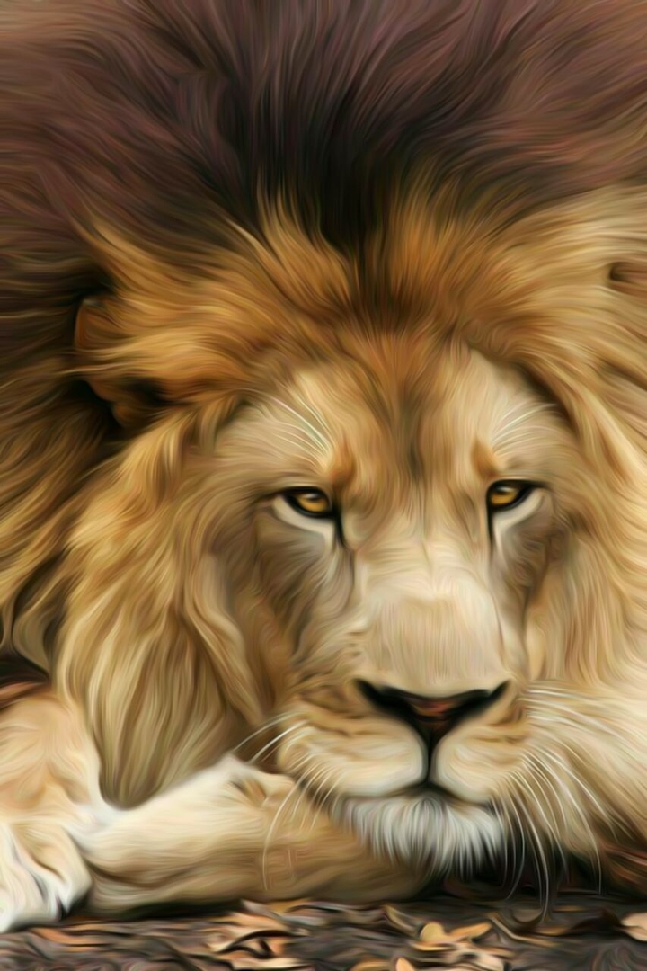 oil painting lion