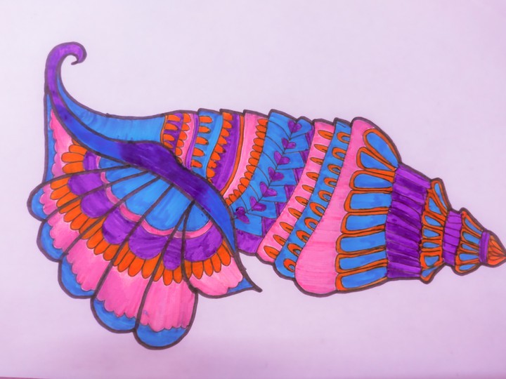 colorful conch ♥️