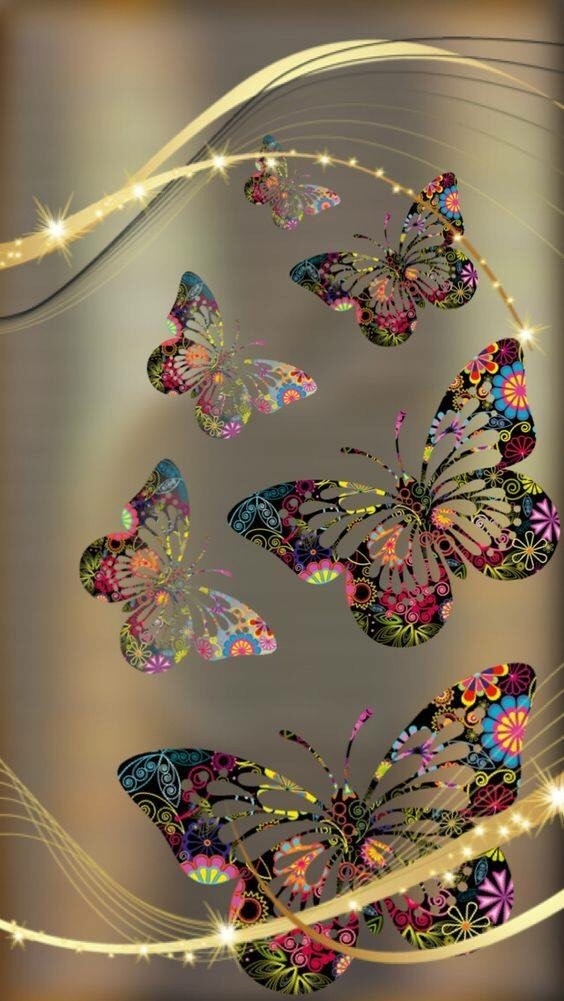 butterfly