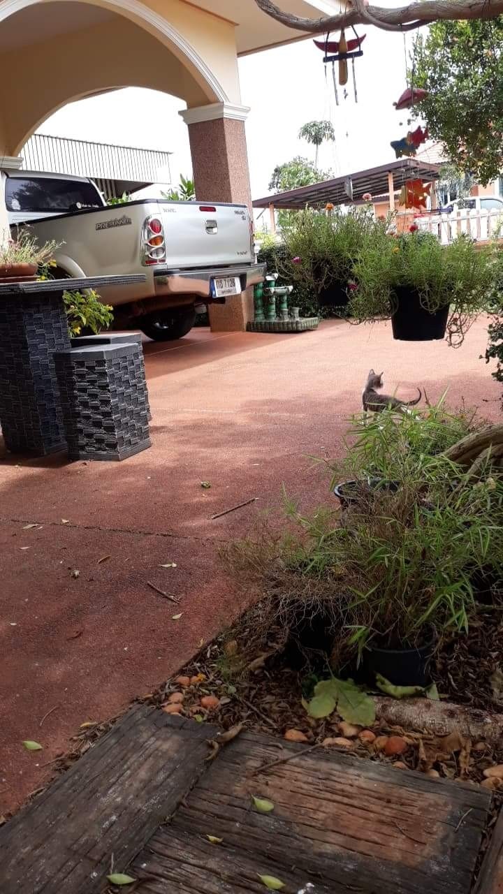 heyyyy  