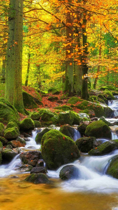 Mountain stream unclock