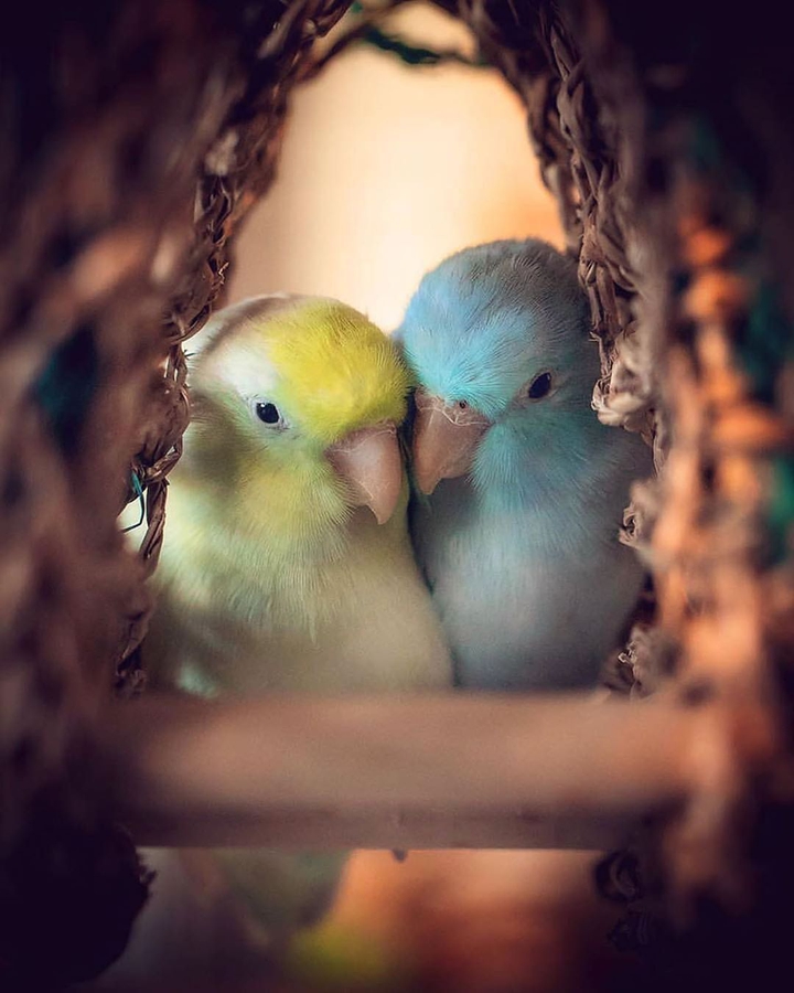 together ❤️❤️