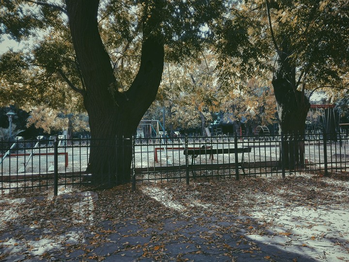Square.