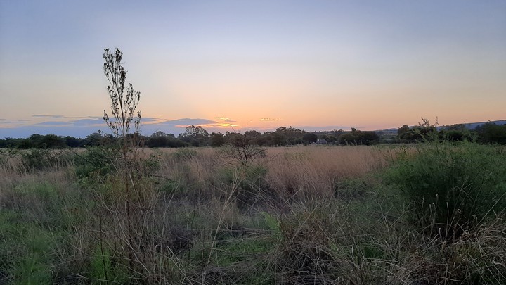 Sunset over the fields of live