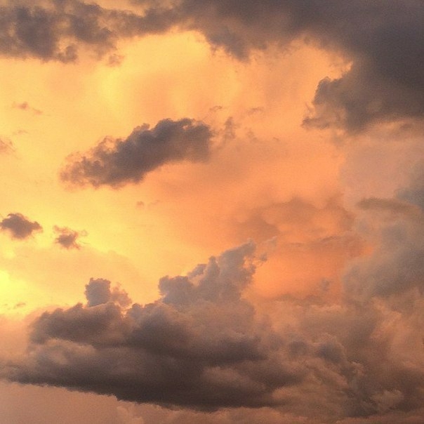 Sky.