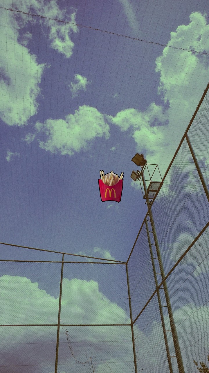 f r i e s
