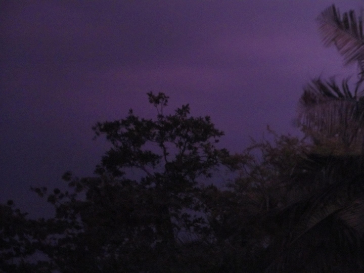 violet