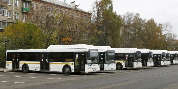 liaz