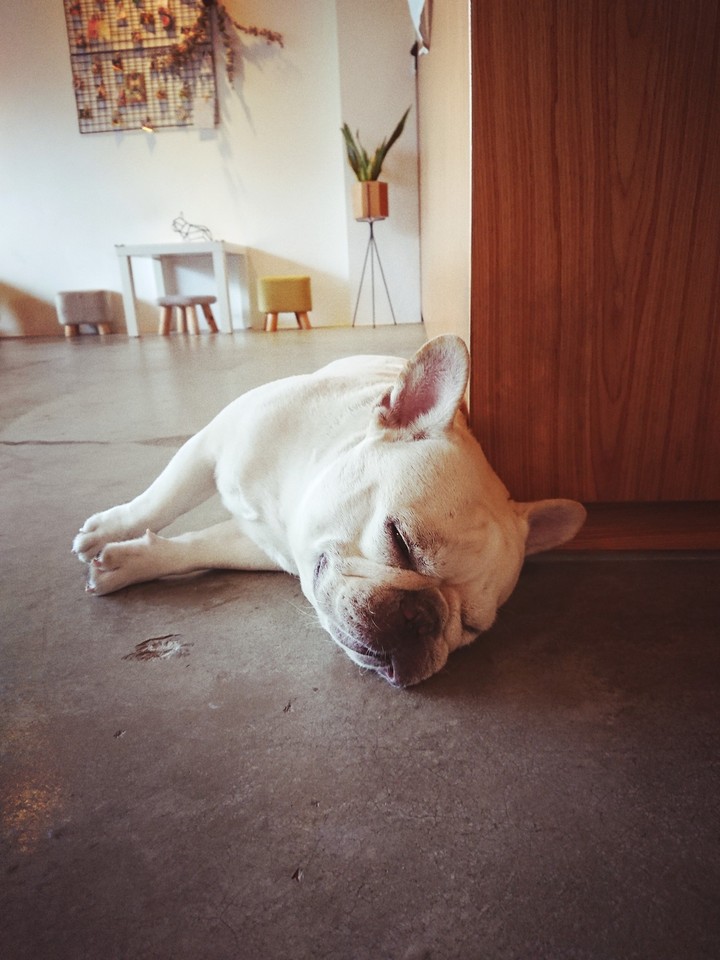 Sleep