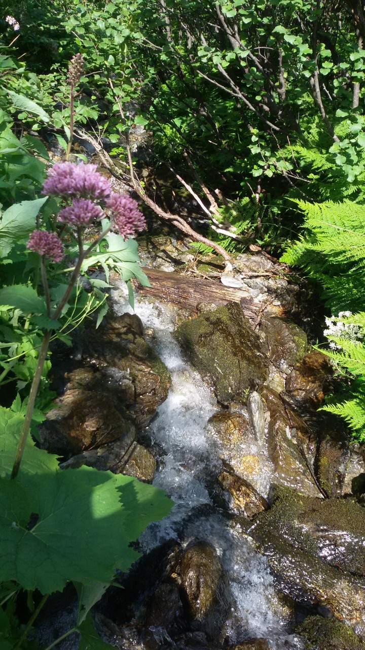 a little river...