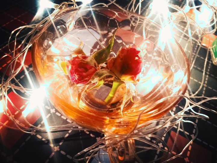 lights and roses