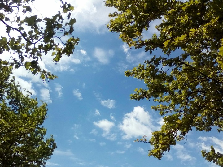 Summer sky