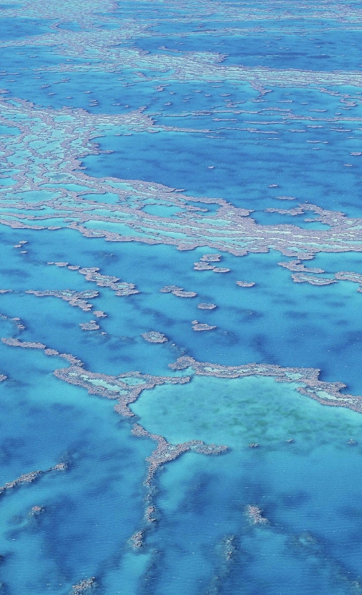 sea