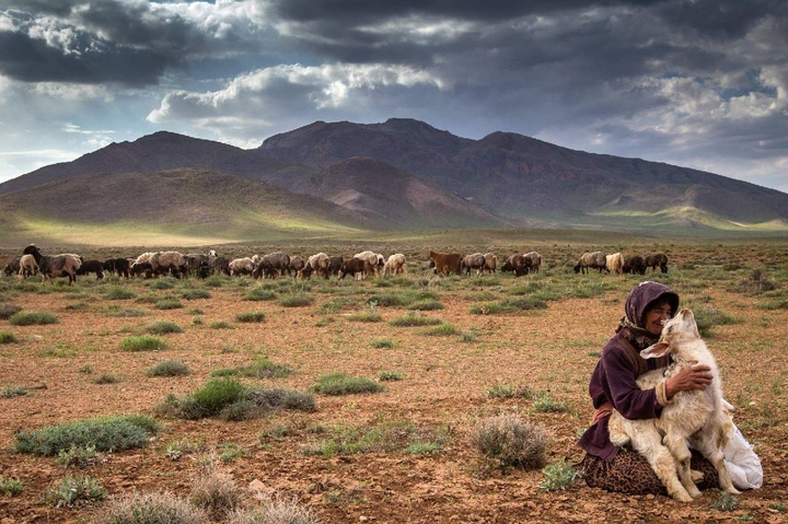 nomadic life