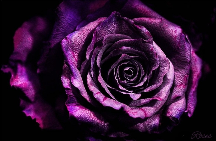 dark