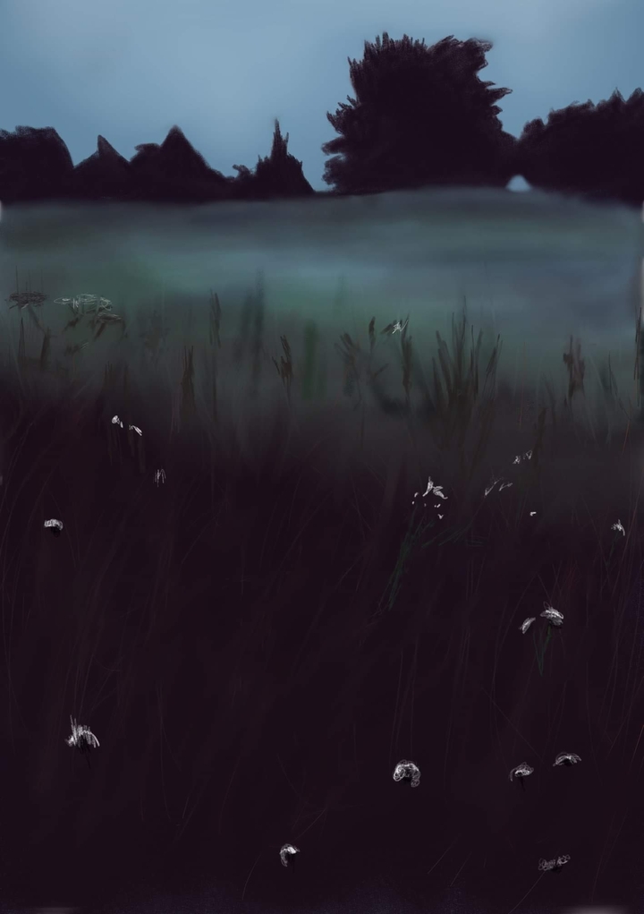 lanscape