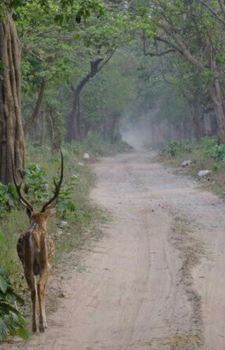 the beauty of nature is so cute