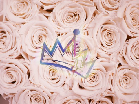 My Descendants wallpaper☁️roses, crown & rainbows