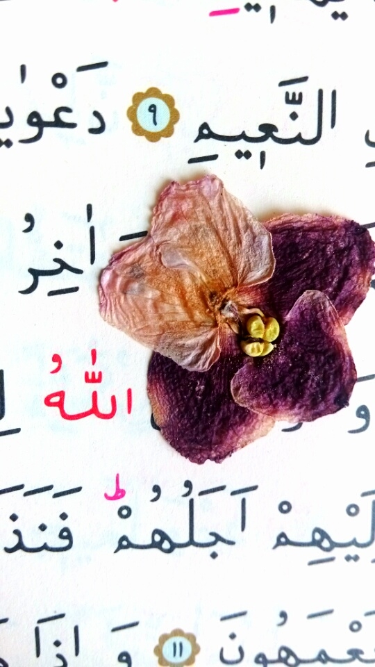 Quran