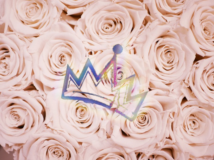 My Descendants wallpaper☁️roses, crown & rainbows