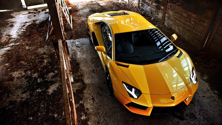 lamborgini