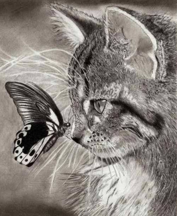 dessin