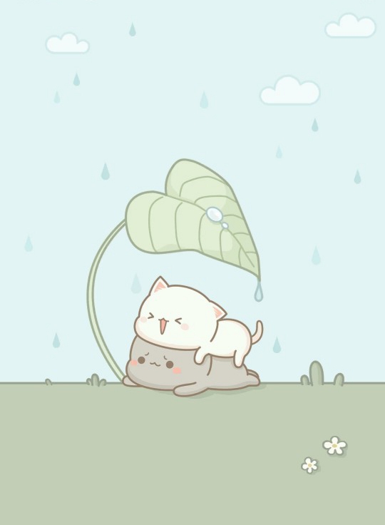 나뭇잎 고양이