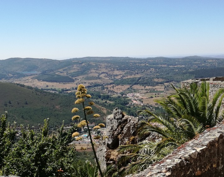 Vista panorámica