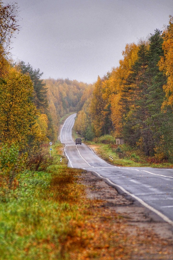 Дорога в осень.