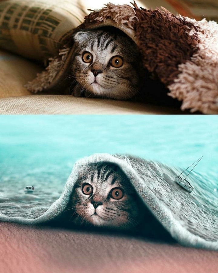 ...