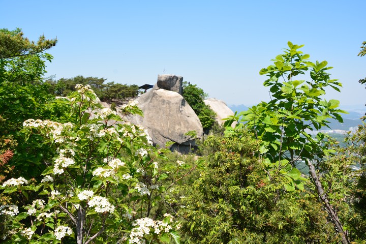 수락산이미지