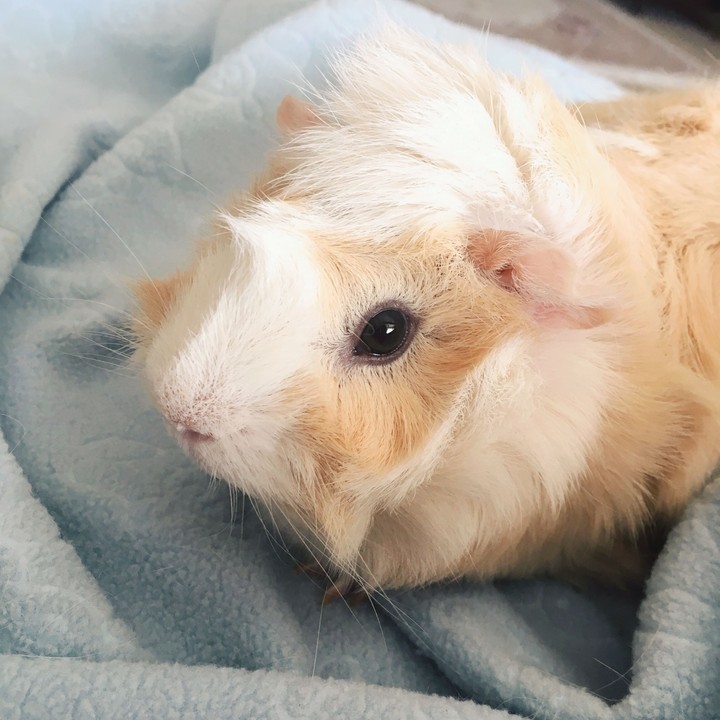 My girl