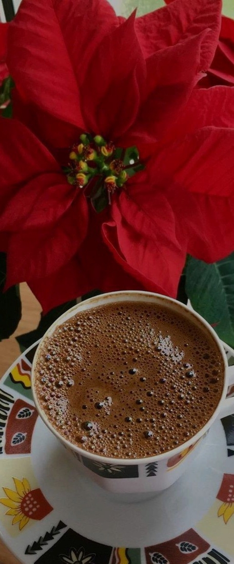 шпалери january, Cup