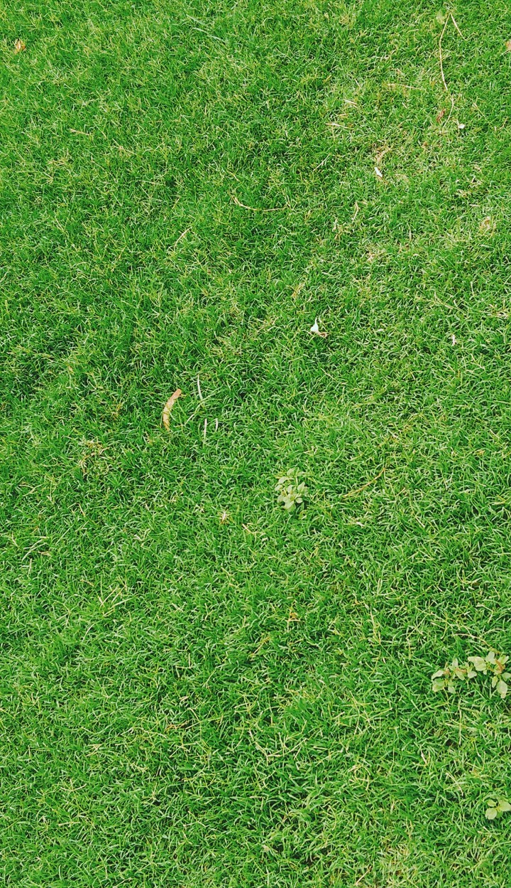 go green