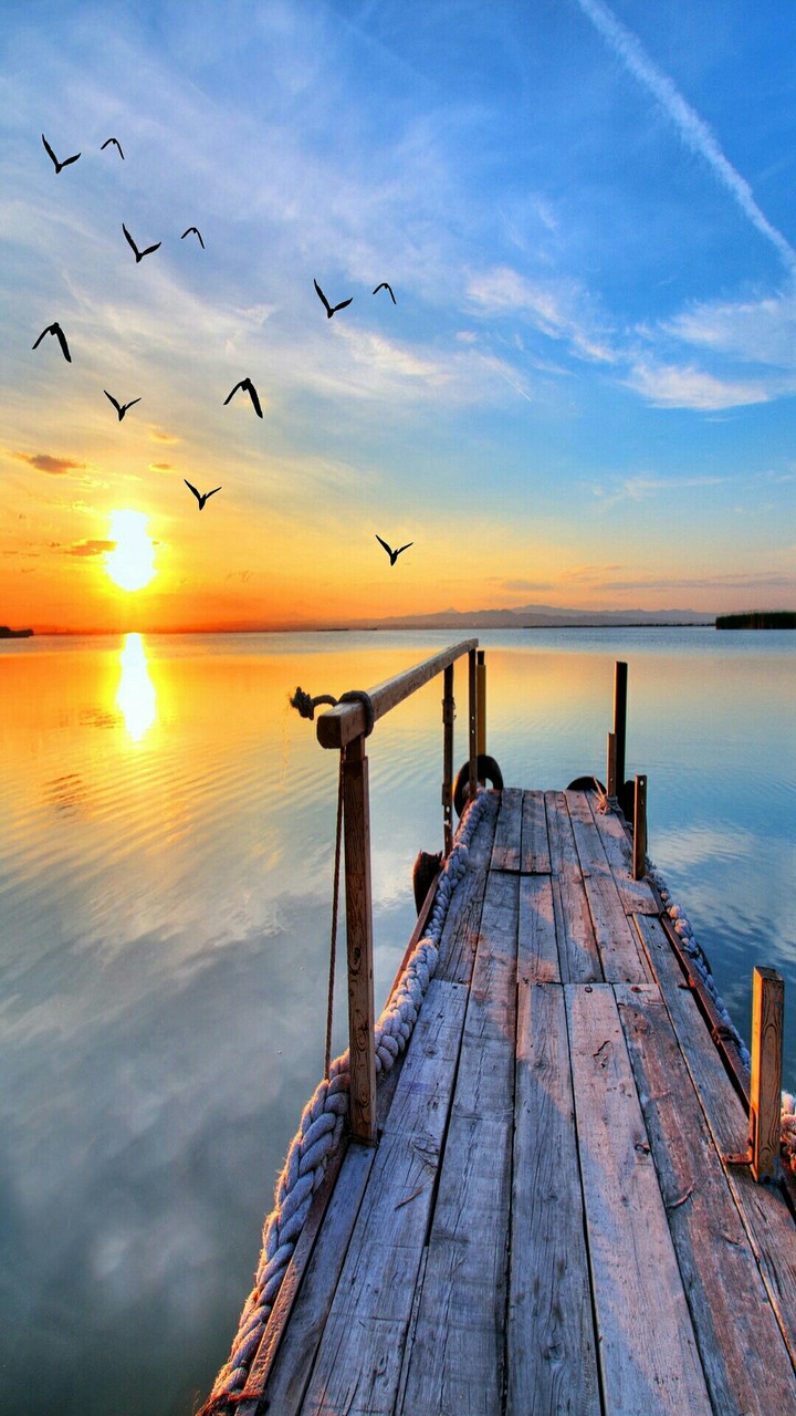 sunset