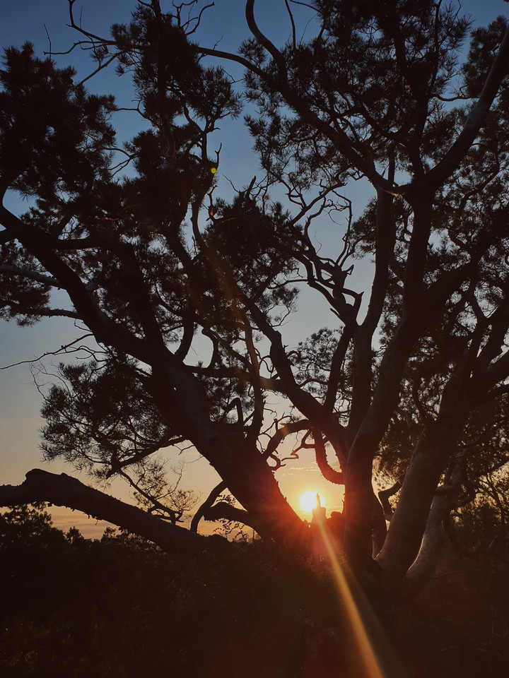 sunset.